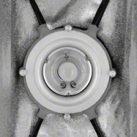 pro Striplight PLUS 25x180 walimex pro & K Nr. 16970