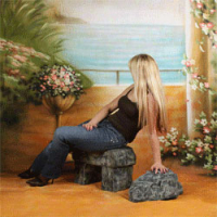 walimex pro Motiv-Stoffhintergrund Romance, 3x6m Nr. 15915