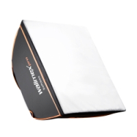walimex pro 2er Set Daylight 250S+ Softbox+ Stativ Nr. 20338