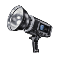 Walimex pro LED2Go 60 Daylight Foto Video Leuchte Nr. 21671